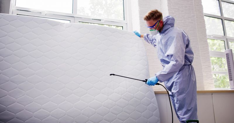Mattress Pest Control