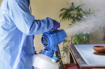 Pest Fumigation Service in Wilmington, DE