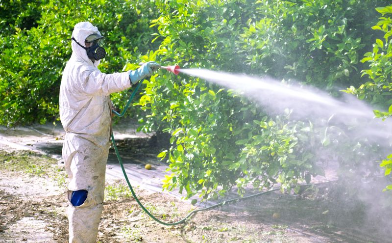 Roach Fumigation in San Jose, CA