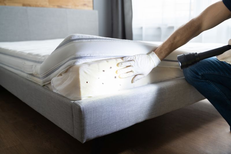 Mattress Pest Control