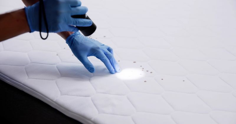 Mattress Pest Control