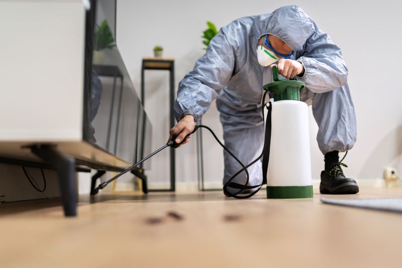 Pest Fumigation Service in Coeur D Alene, ID